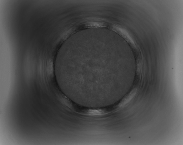 X0000100490457200806131253