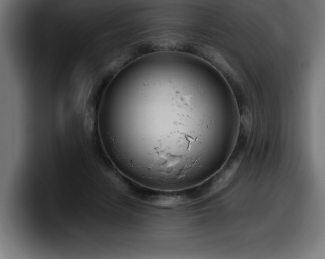 X0000100490458200806131253