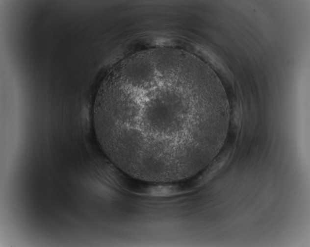 X0000100490461200806131253
