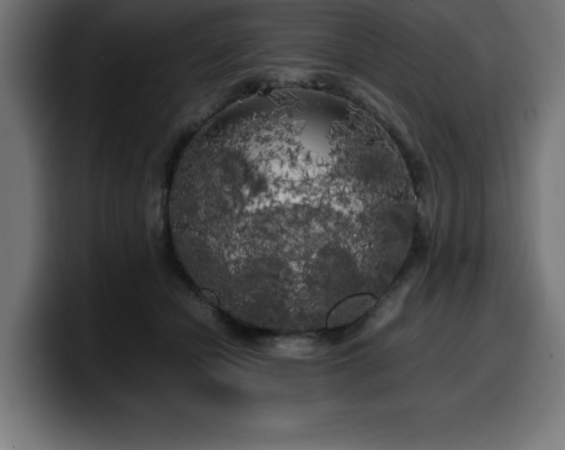 X0000100490462200806131253