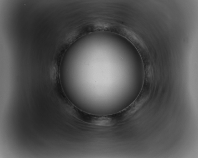 X0000100490463200806131253
