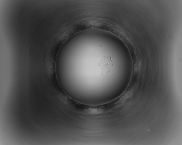 X0000100490464200806131253
