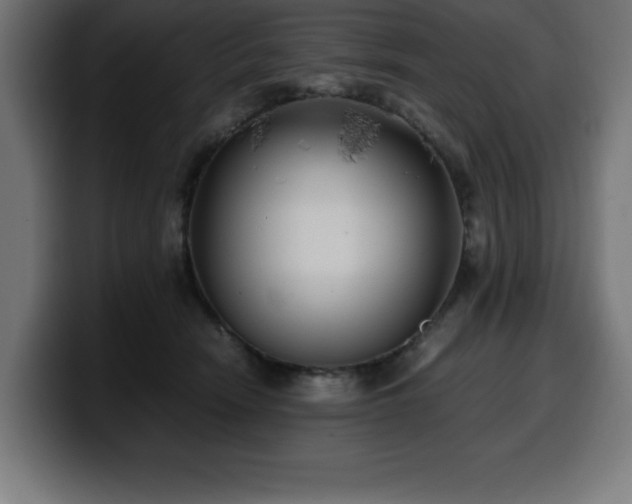 X0000100490466200806131253