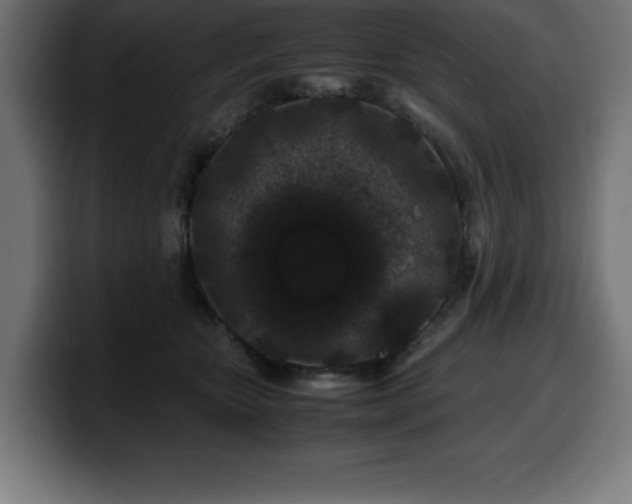 X0000100490467200806131253
