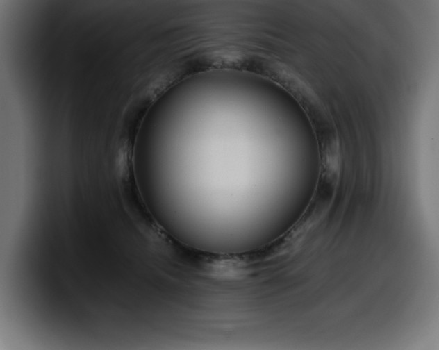 X0000100490468200806131253
