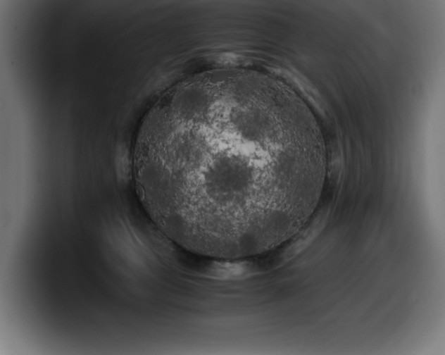 X0000100490469200806131253