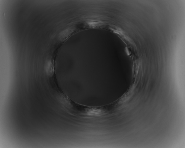 X0000100490471200806131253