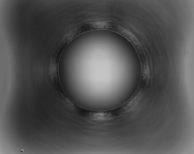 X0000100490473200806131253