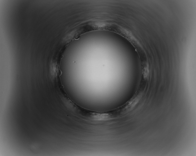 X0000100490476200806131253