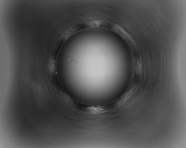 X0000100490477200806131253
