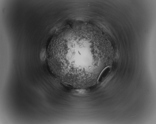 X0000100490478200806131253