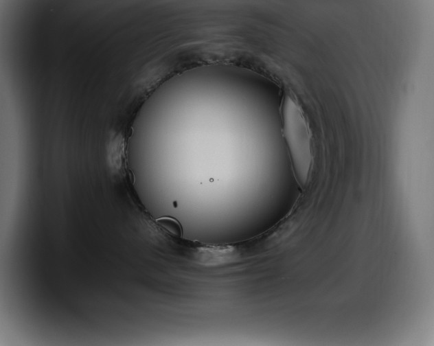 X0000100490480200806131253