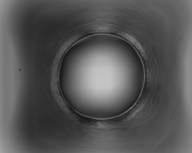 X0000100490481200806131253