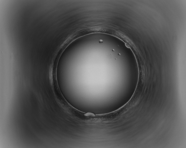 X0000100490482200806131253