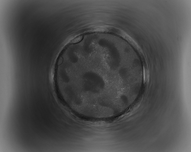 X0000100490483200806131253
