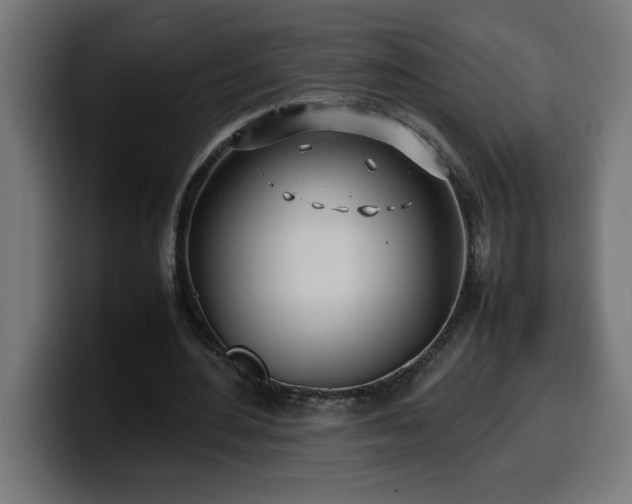 X0000100490484200806131253