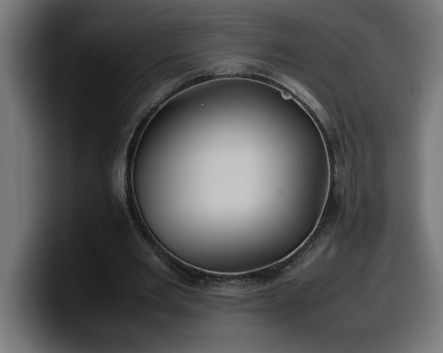 X0000100490485200806131253