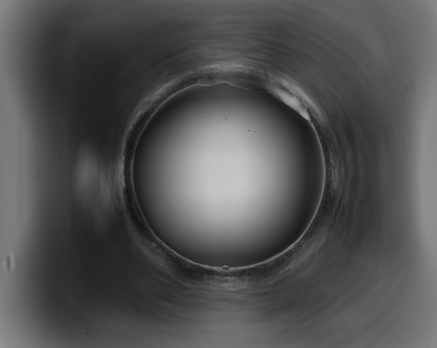 X0000100490486200806131253