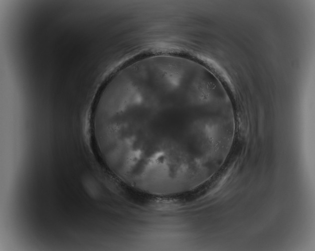 X0000100490487200806131253