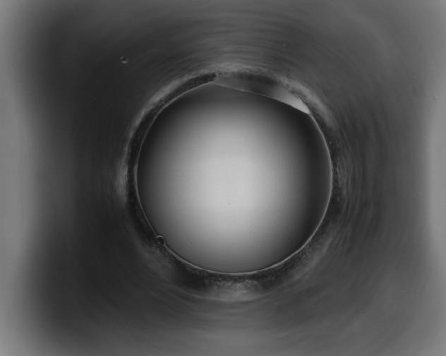 X0000100490488200806131253