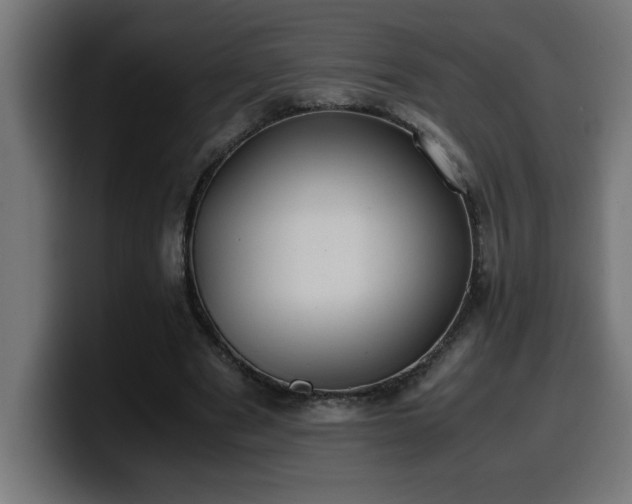 X0000100490489200806131253