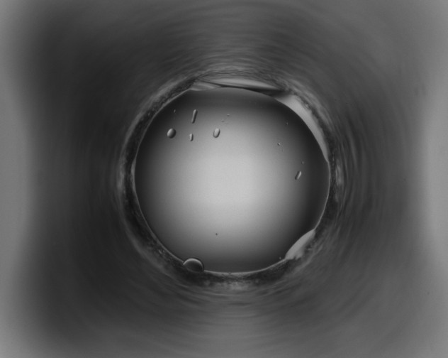 X0000100490492200806131253