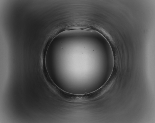 X0000100490493200806131253