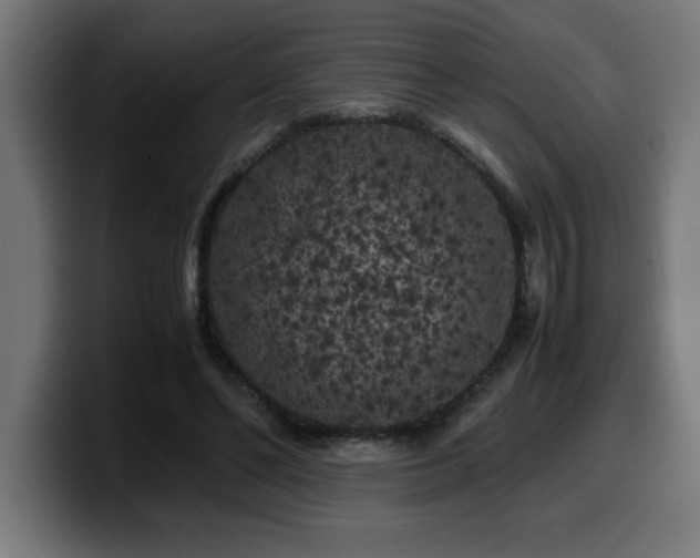 X0000100490494200806131253