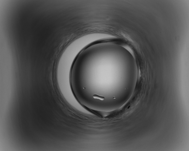 X0000100490495200806131253