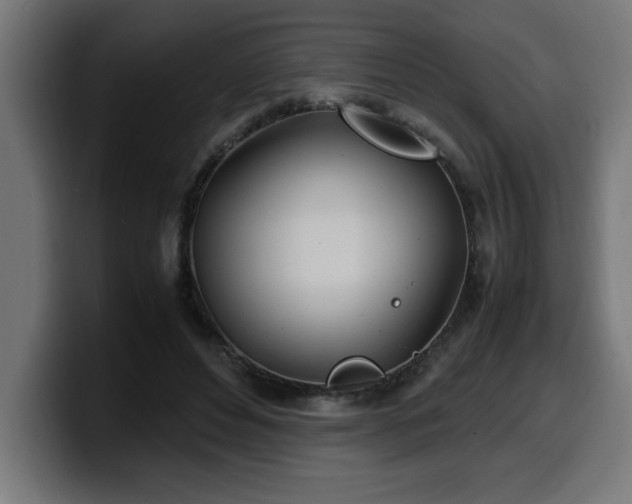 X0000100490496200806131253