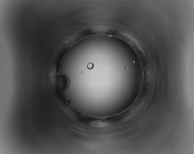 X0000100490498200806131253