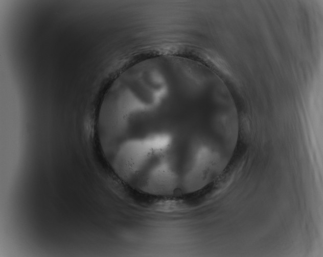 X0000100490499200806131253
