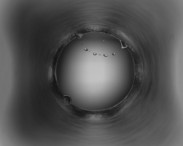 X0000100490500200806131253