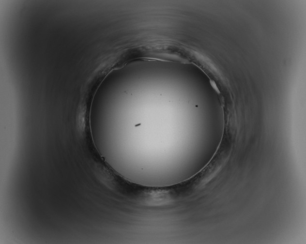 X0000100490501200806131253