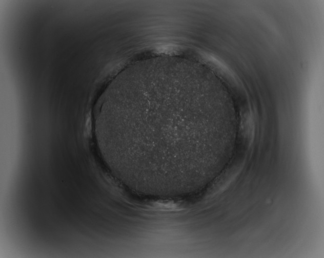 X0000100490502200806131253