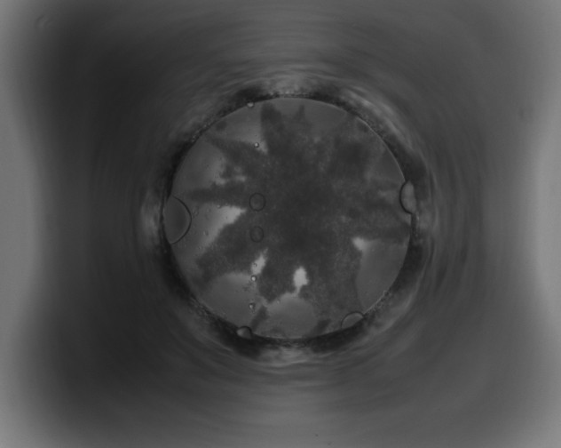 X0000100490503200806131253