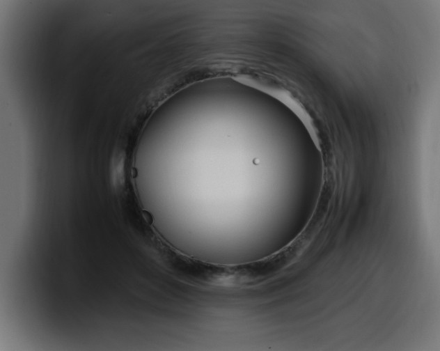 X0000100490504200806131253