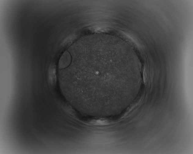 X0000100490506200806131253