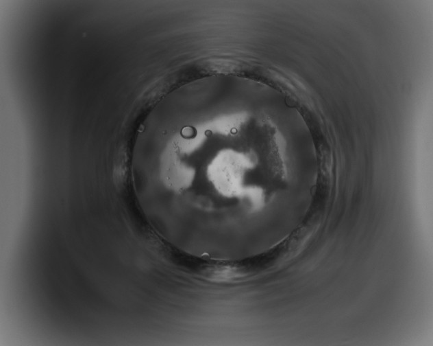 X0000100490507200806131253