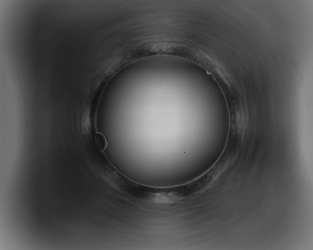 X0000100490508200806131253