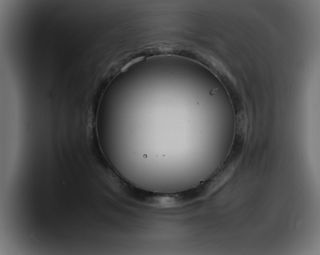 X0000100490509200806131253