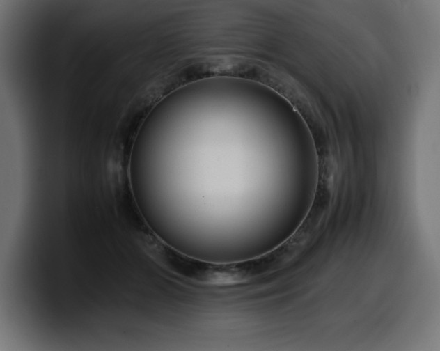 X0000100490510200806131253