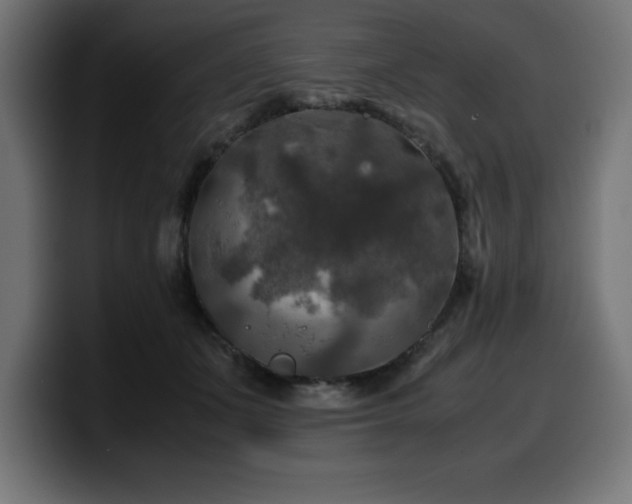 X0000100490511200806131252
