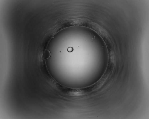 X0000100490514200806131252