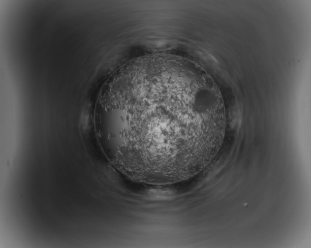 X0000100490515200806131252