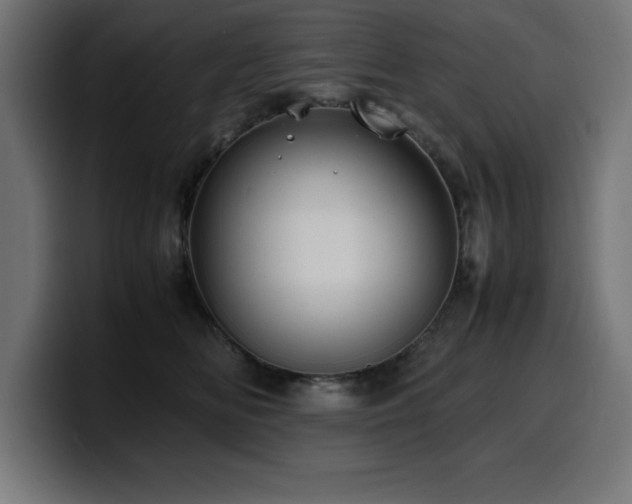 X0000100490518200806131252