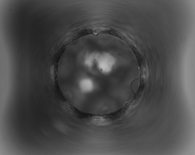 X0000100490519200806131252