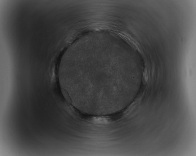 X0000100490520200806131252