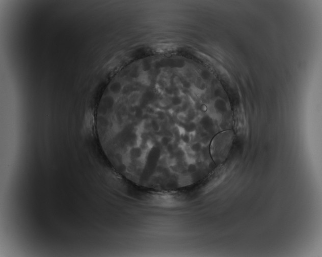 X0000100490523200806131252