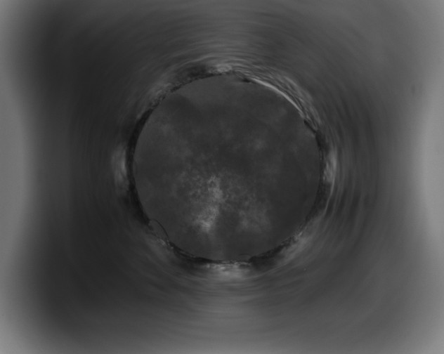 X0000100490524200806131252